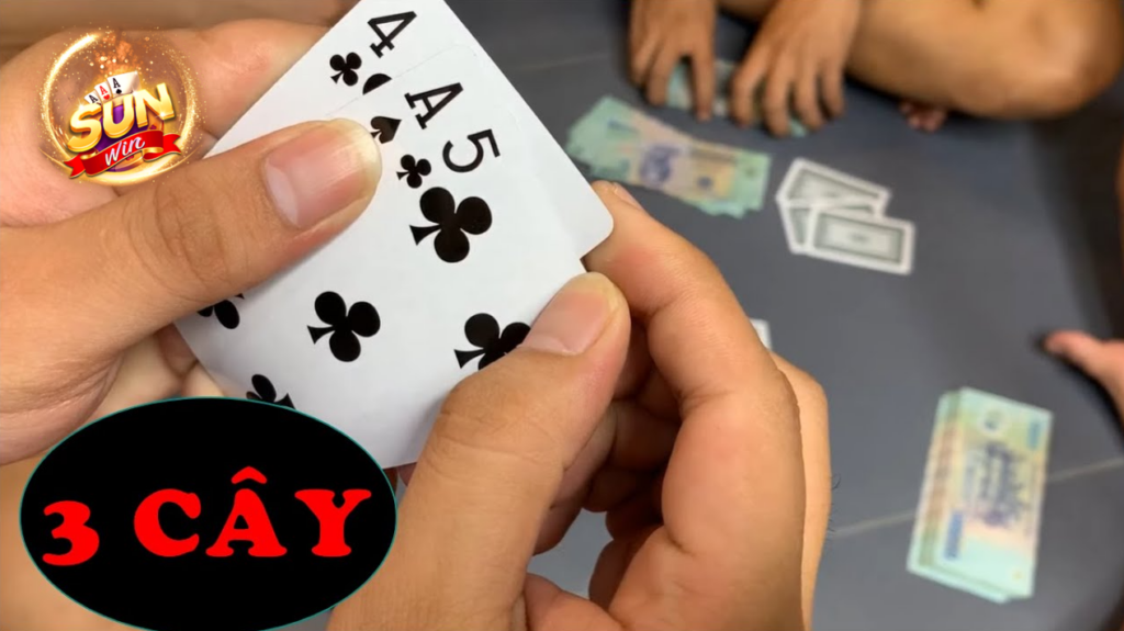 Tổng quan về Ba cây Suwin 2026