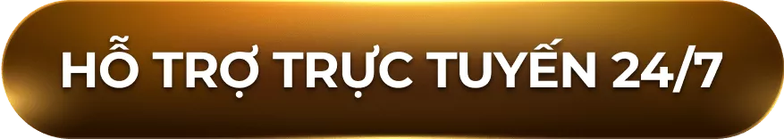Hỗ trợ trực tuyến 24/7